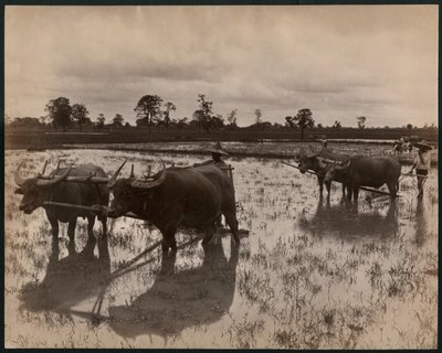 Farm Work by Philip Adolphe Klier
